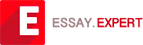 Essay Expert